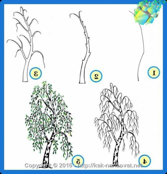 Поэтапное рисование ивы для детей
