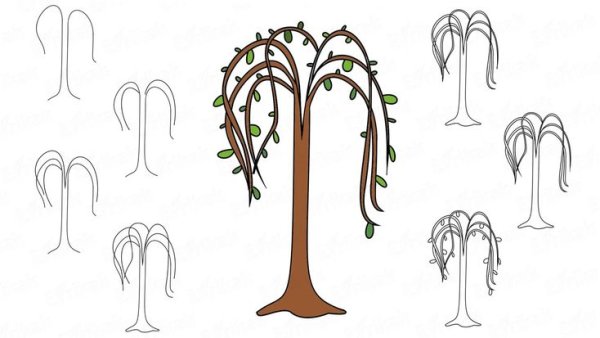 Плакучая Ива зарисовка
