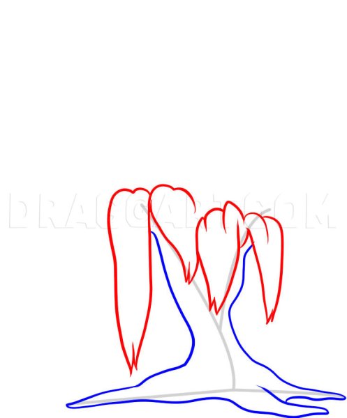 Плакучая Ива карандашом