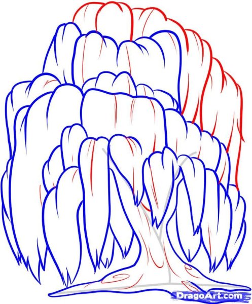 Ива раскраска для детей