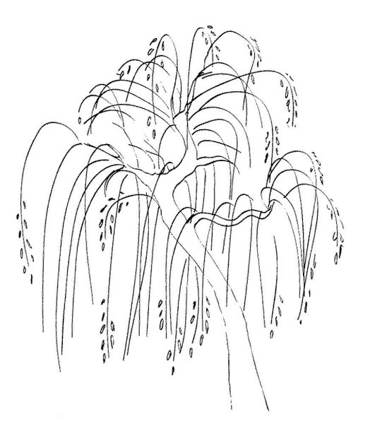 Дерево карандашом