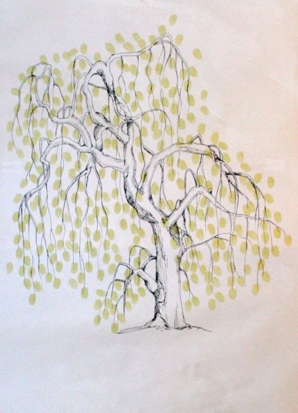 Ива в графике