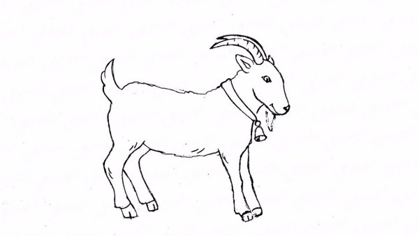Коза карандашом