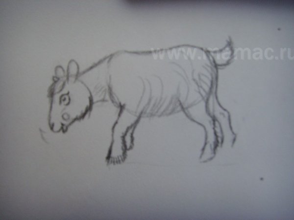 Рисование в старшей группе козлёнок Колдина