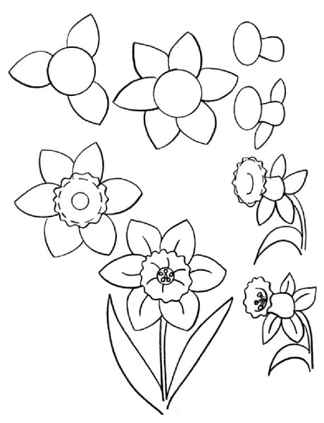 Простые цветы для рисования