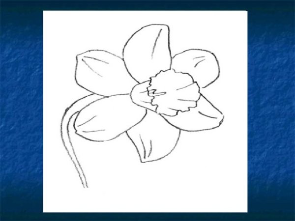 Цветы с урока изо 5 класс