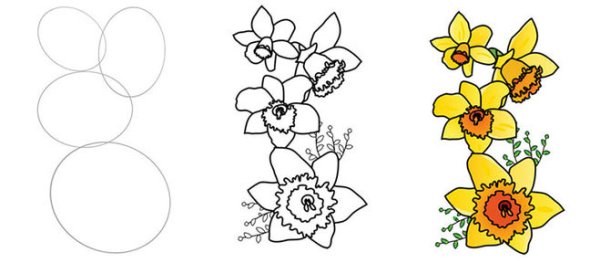 Нарцисс цветок поэтапное рисование