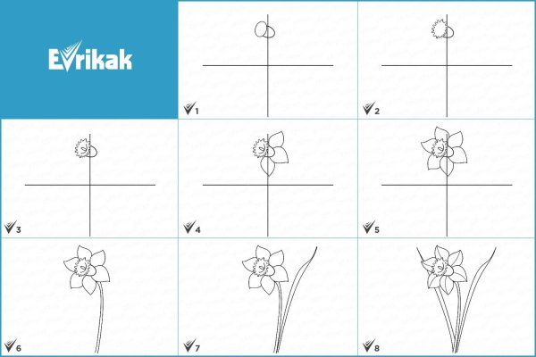 Схема рисования нарцисса