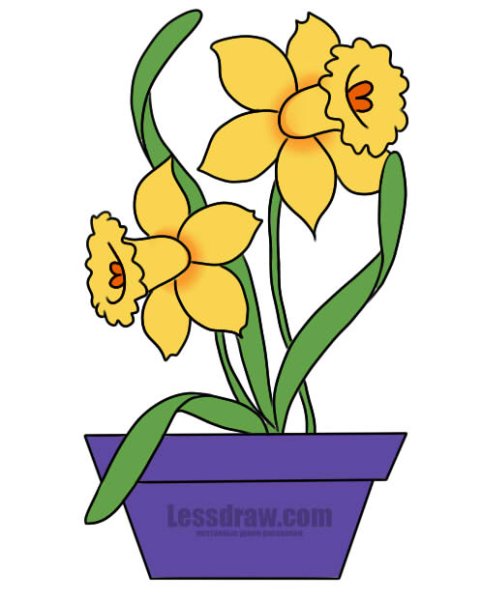 Рисуем нарциссы в горшке