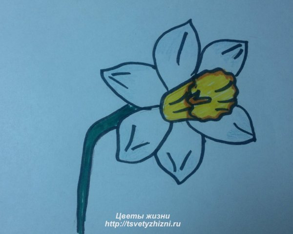 Рисунки для срисовки лёгкие цветы