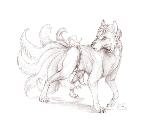 Кицунэ рисунок карандашом