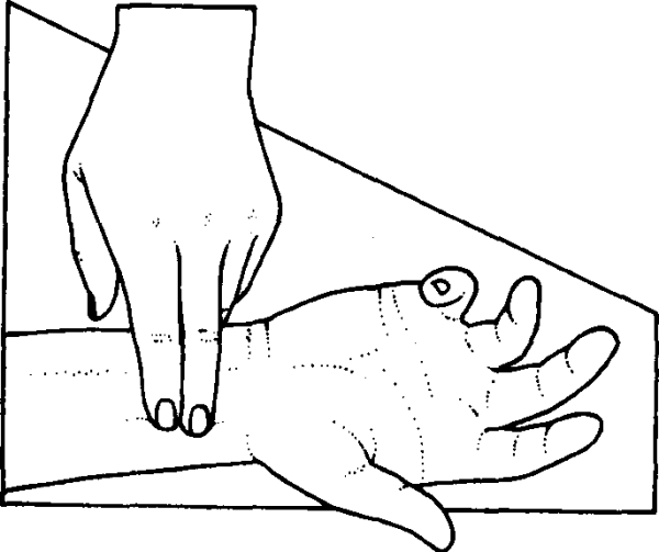 Исследование артериального пульса алгоритм