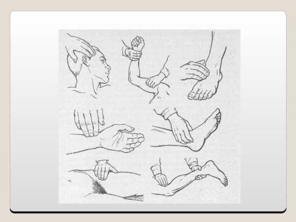 Пальпация магистральных сосудов