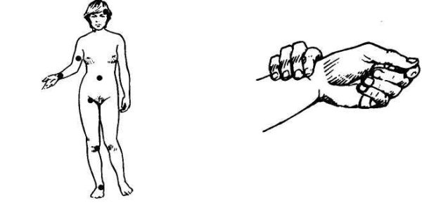 Подсчет артериального пульса на лучевой артерии