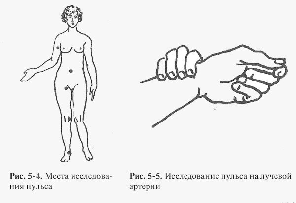 Измерение пульса на периферических артериях