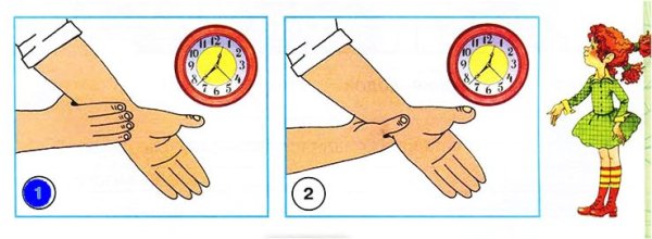 Окружающий мир измерение пульса
