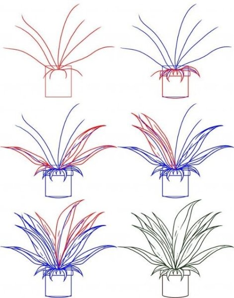 Раскадровка мультфильма