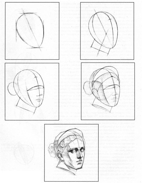 Этапы рисования головы