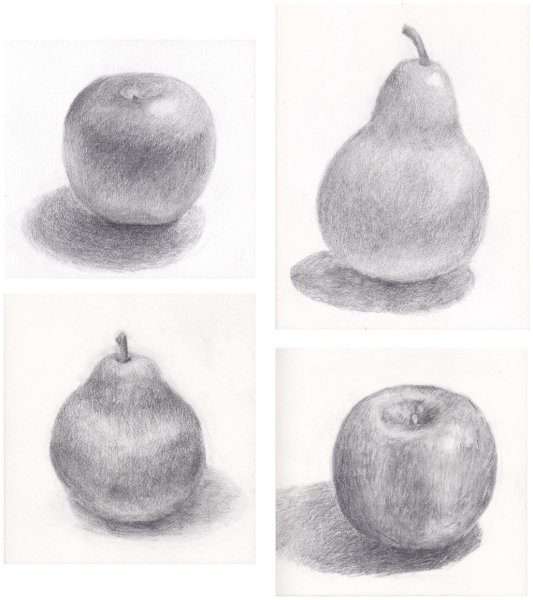 Поэтапное рисование козы для детей