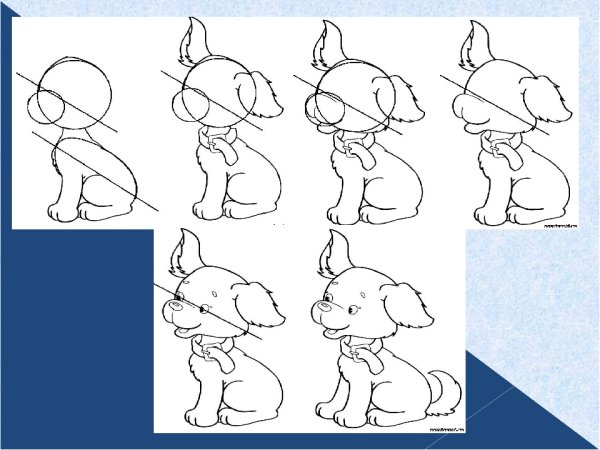 Изображение характера животных