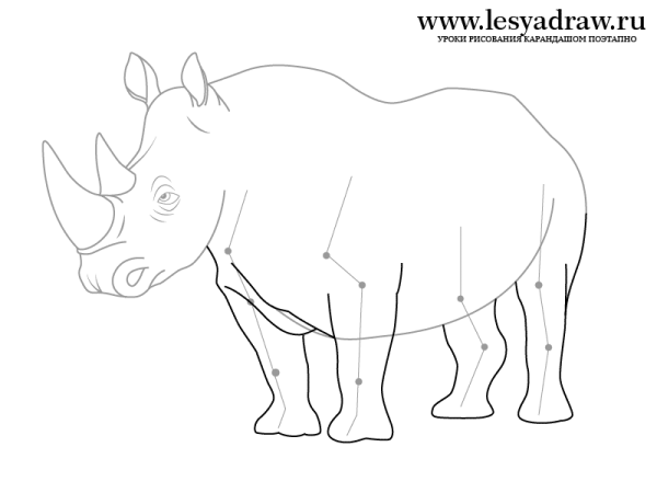 Носорог карандашом