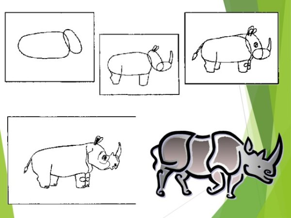 Поэтапное рисование носорога