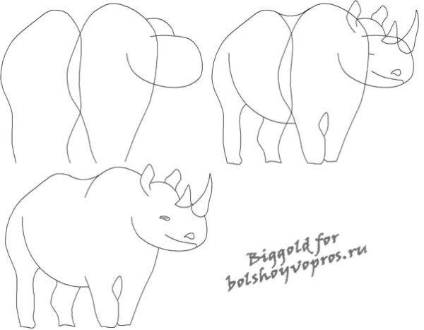 Поэтапное рисование носорога