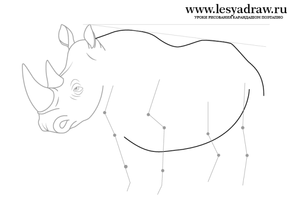 Как рисовать носорога