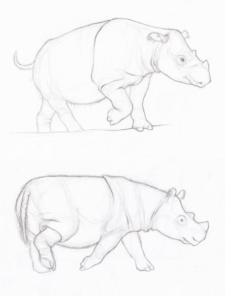 Поэтапное рисование носорога