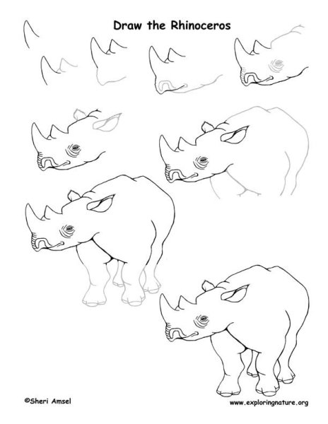 Мир глазами животного рисунок карандашом