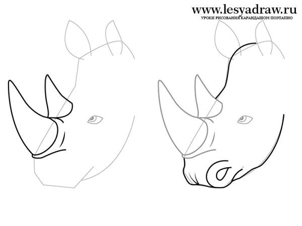 Поэтапное рисование носорога для дошкольников