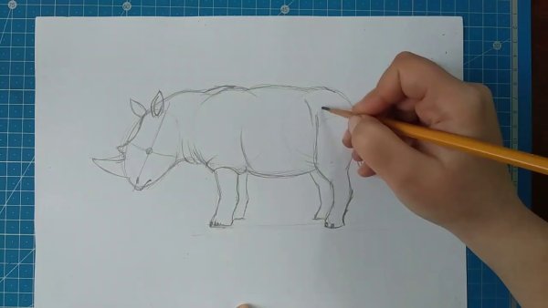 Как рисовать носорога