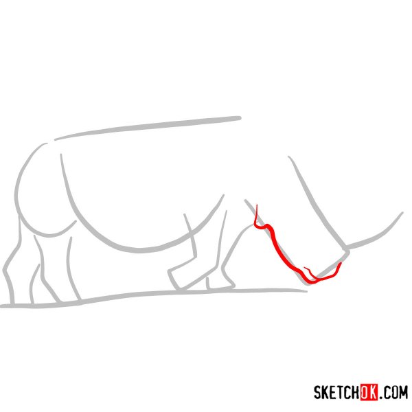 Поэтапное рисование носорога