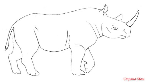 Носорог рисунок для детей карандашом