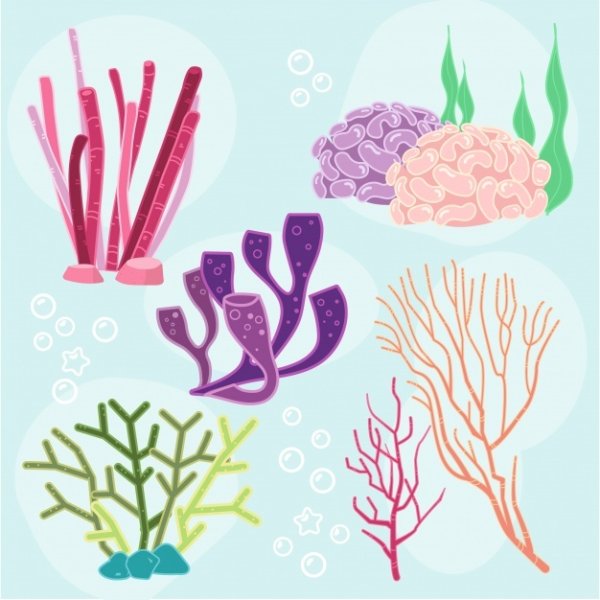 Рисование водорослей