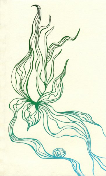 Водоросли Графика