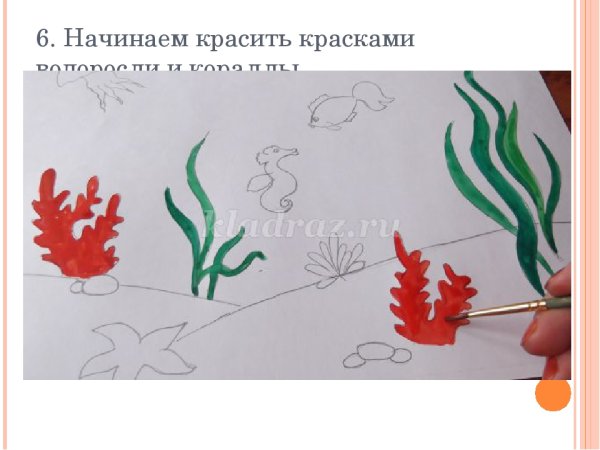 Водоросли поэтапное рисование