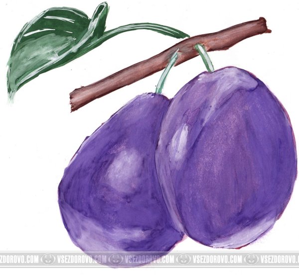 Рисование сливы