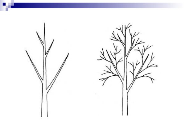 Пошаговое рисование дерева