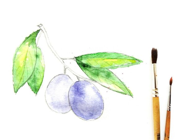 Слива пошагово