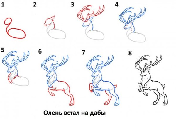 Рисунок черта