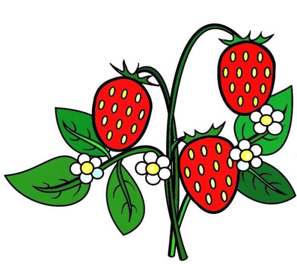 Ягоды для рисования детям