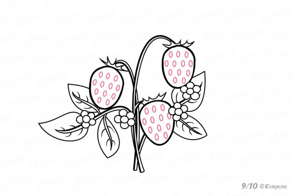 Поэтапное рисование земляники