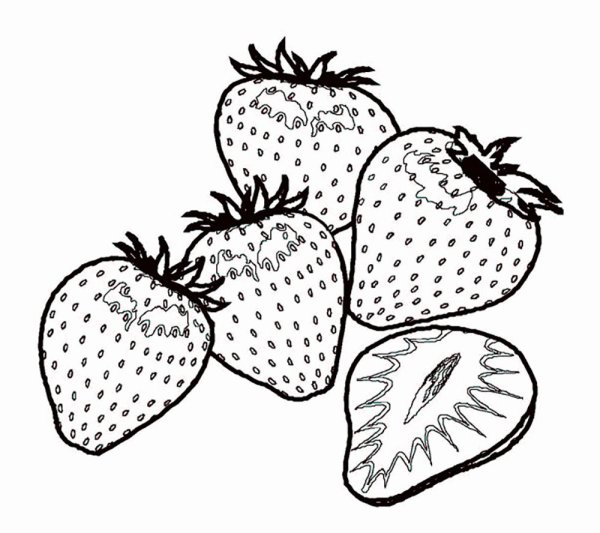 Клубника раскраска