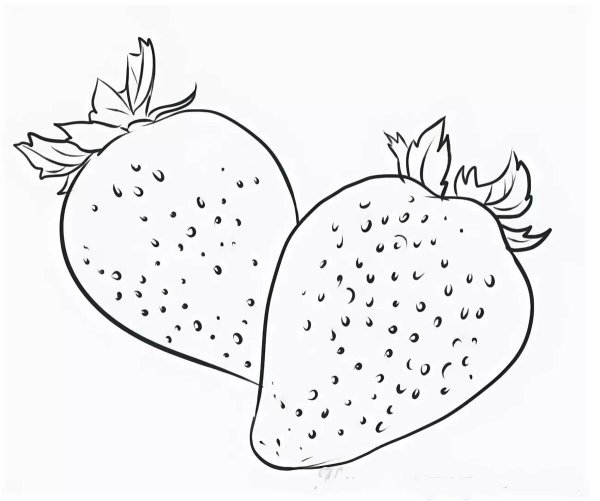 Ягоды рисунок карандашом