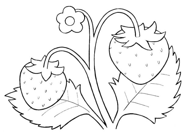 Земляника раскраска