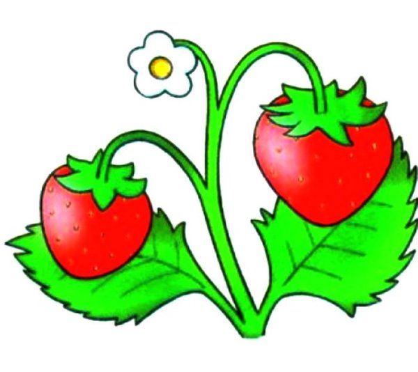 Ягодки для детей