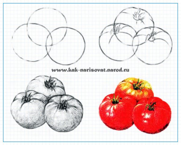 Поэтапное рисование овощей и фруктов