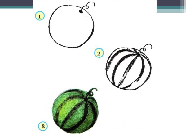 Рисование овощей и фруктов для детей