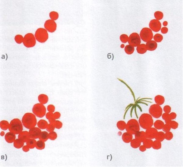 Петриковская роспись - рябина